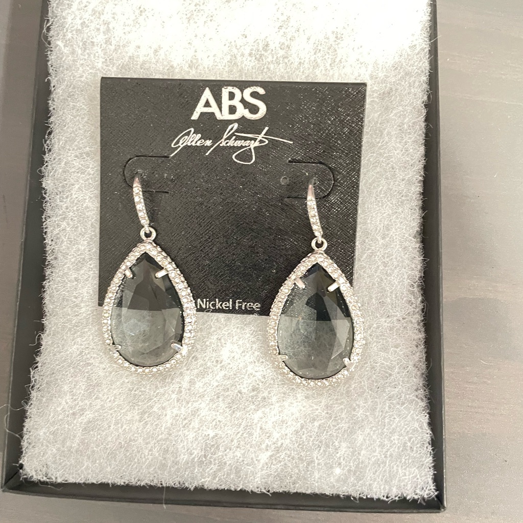 Brand New Earring Allen Schwartz
